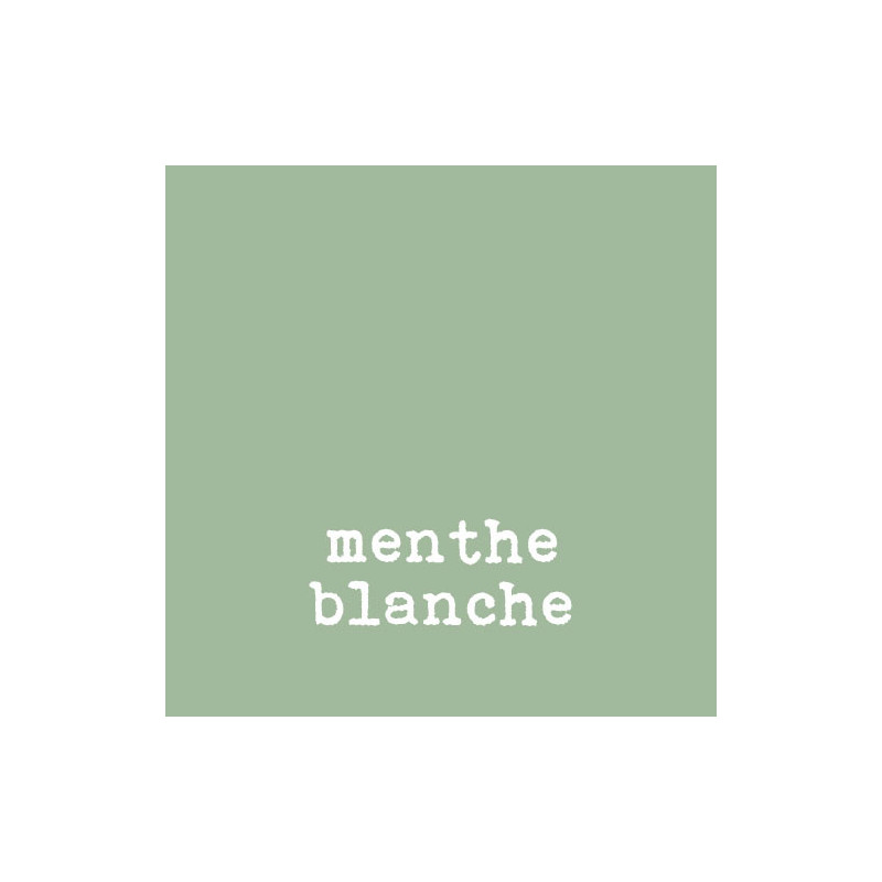 Menthe blanche Menthe blanche